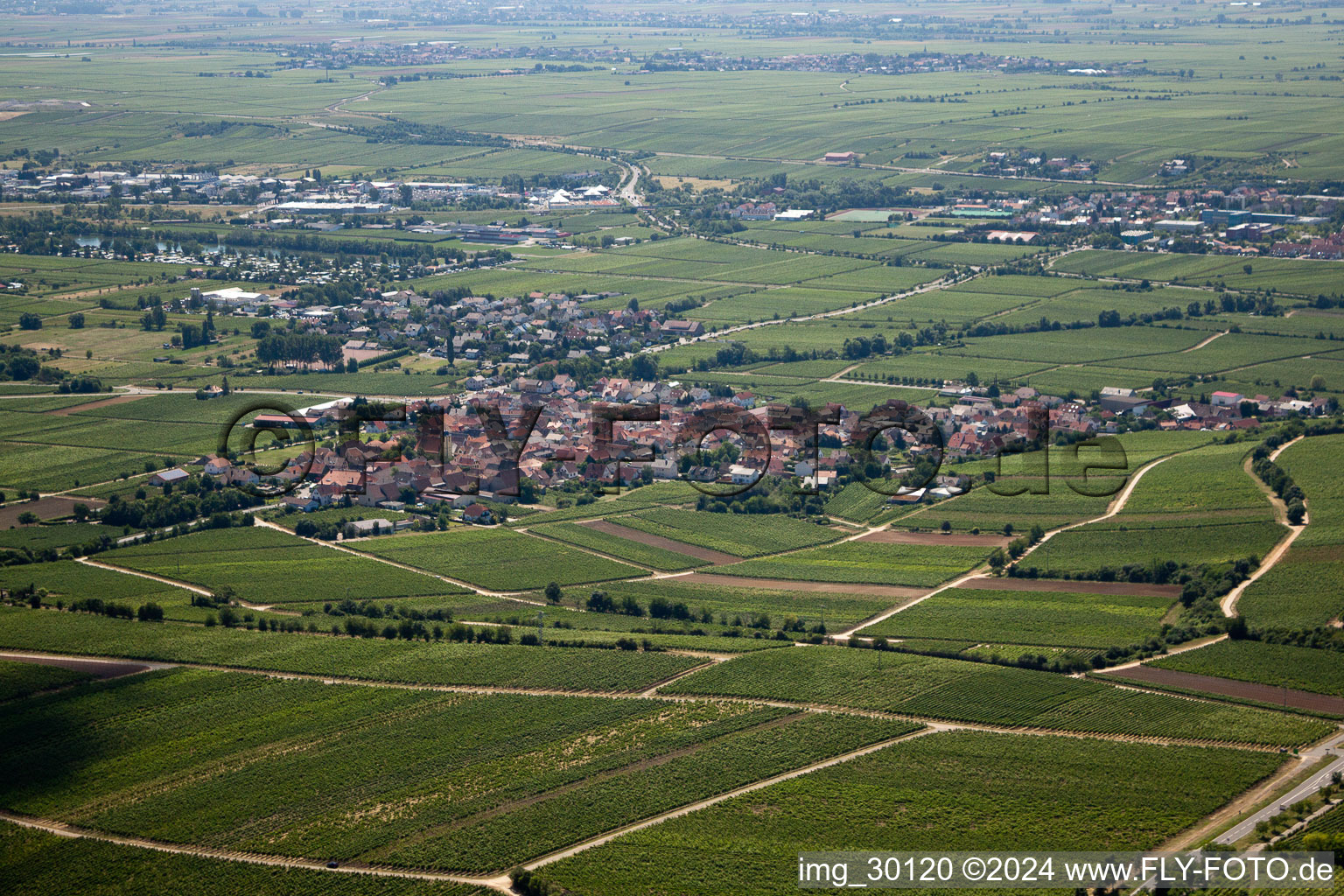 District Ungstein in Bad Dürkheim in the state Rhineland-Palatinate, Germany