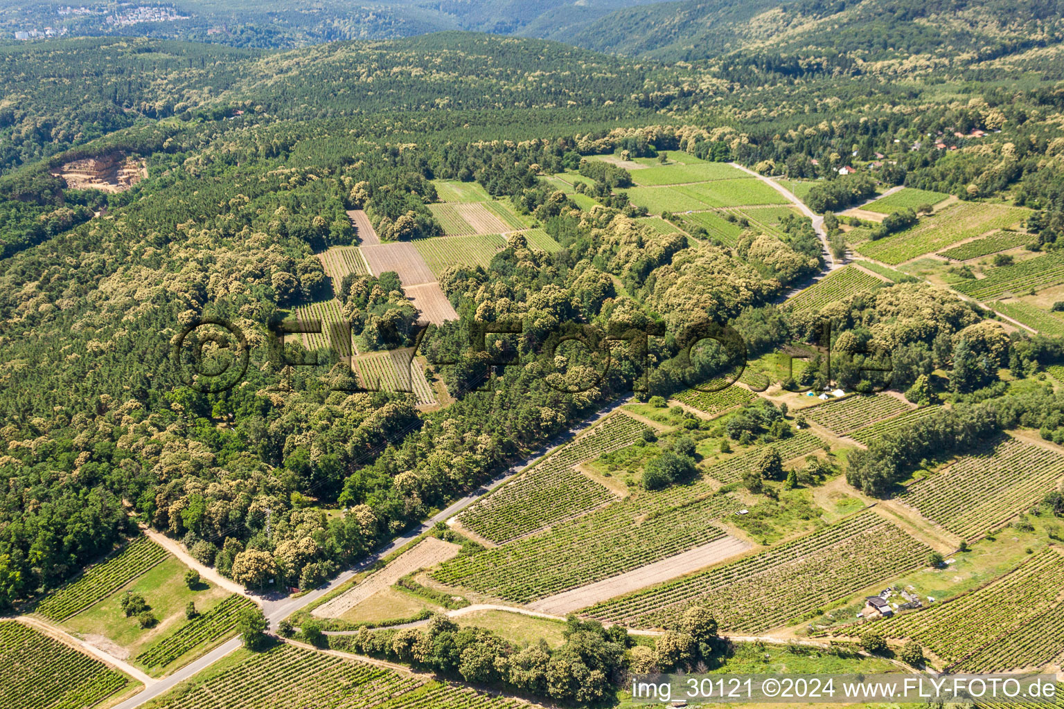 Vineyards in Kallstadt in the state Rhineland-Palatinate, Germany