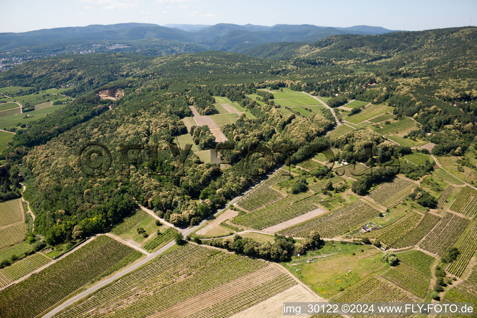 Aerial view of Vineyards in Kallstadt in the state Rhineland-Palatinate, Germany