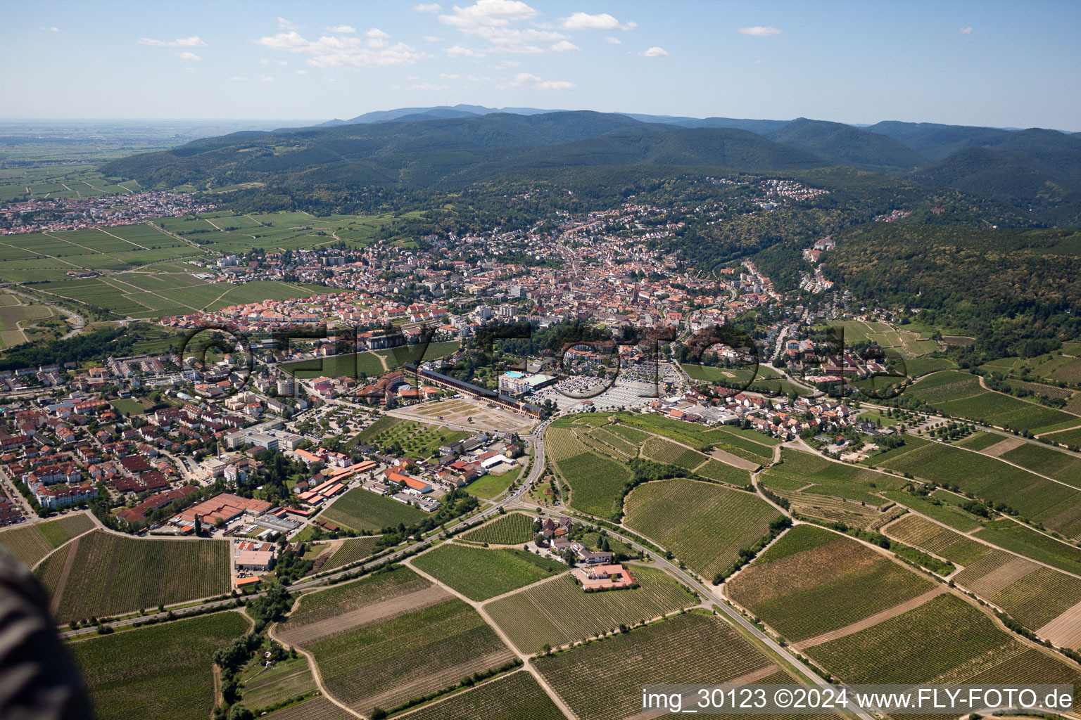 From northeast in the district Pfeffingen in Bad Dürkheim in the state Rhineland-Palatinate, Germany