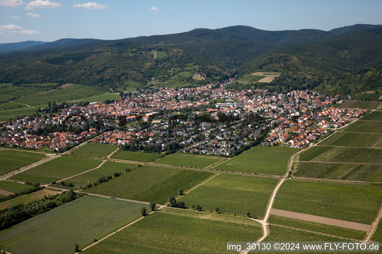Wachenheim an der Weinstraße in the state Rhineland-Palatinate, Germany from a drone