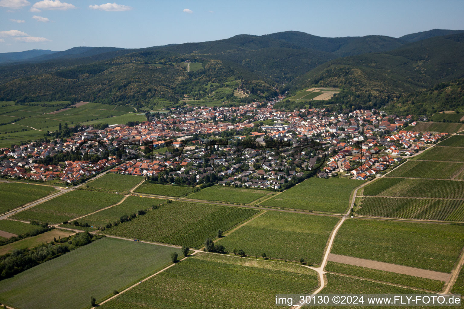 Wachenheim an der Weinstraße in the state Rhineland-Palatinate, Germany viewn from the air