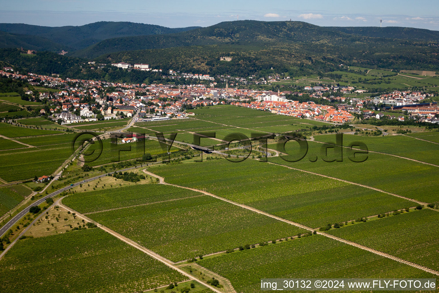 Wachenheim an der Weinstraße in the state Rhineland-Palatinate, Germany seen from a drone