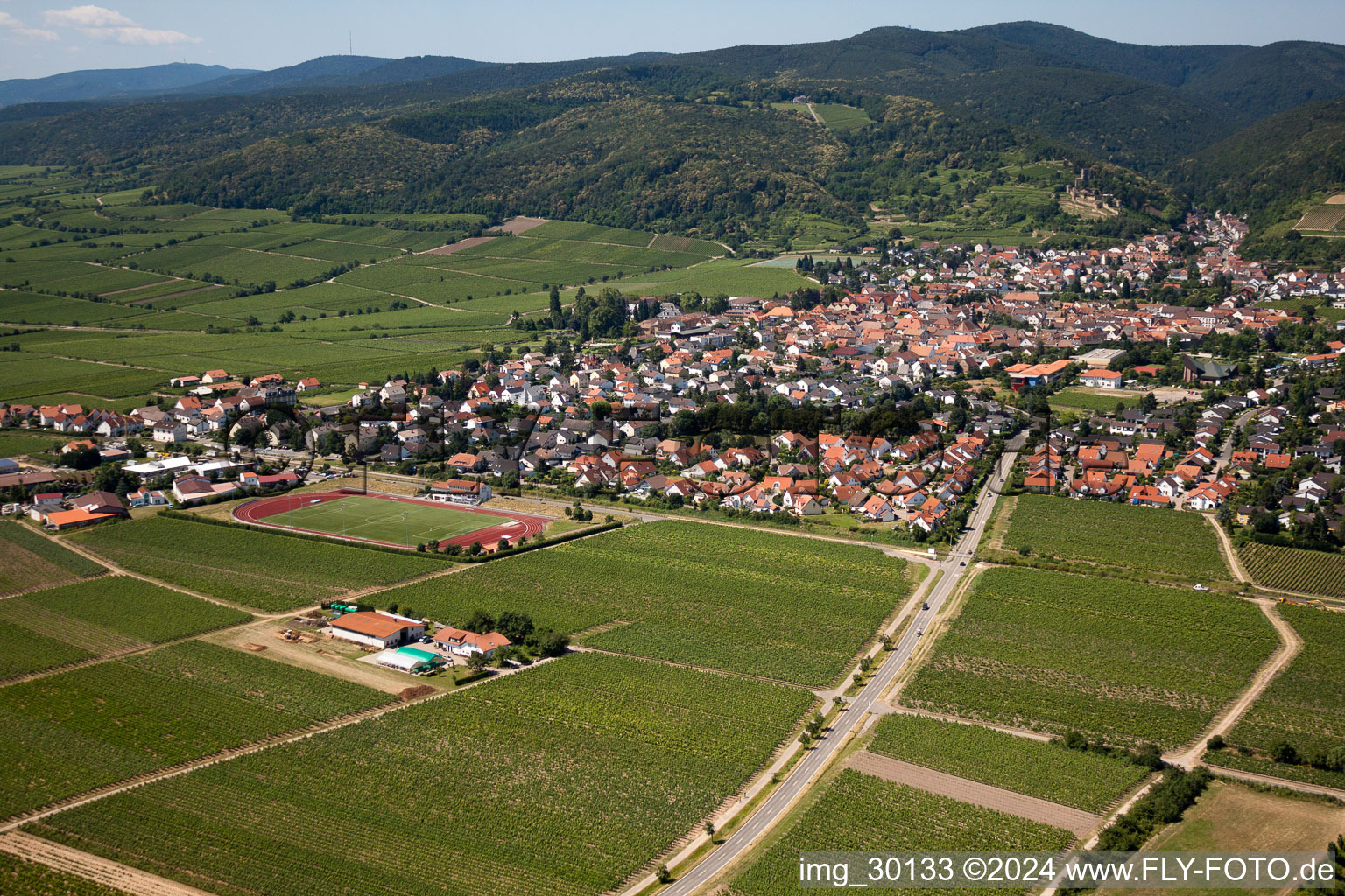 Aerial view of Wachenheim an der Weinstraße in the state Rhineland-Palatinate, Germany