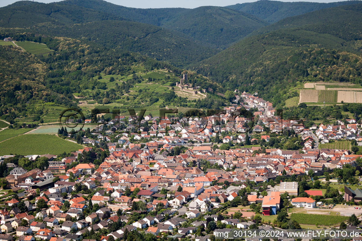 Wachenheim an der Weinstraße in the state Rhineland-Palatinate, Germany from the drone perspective