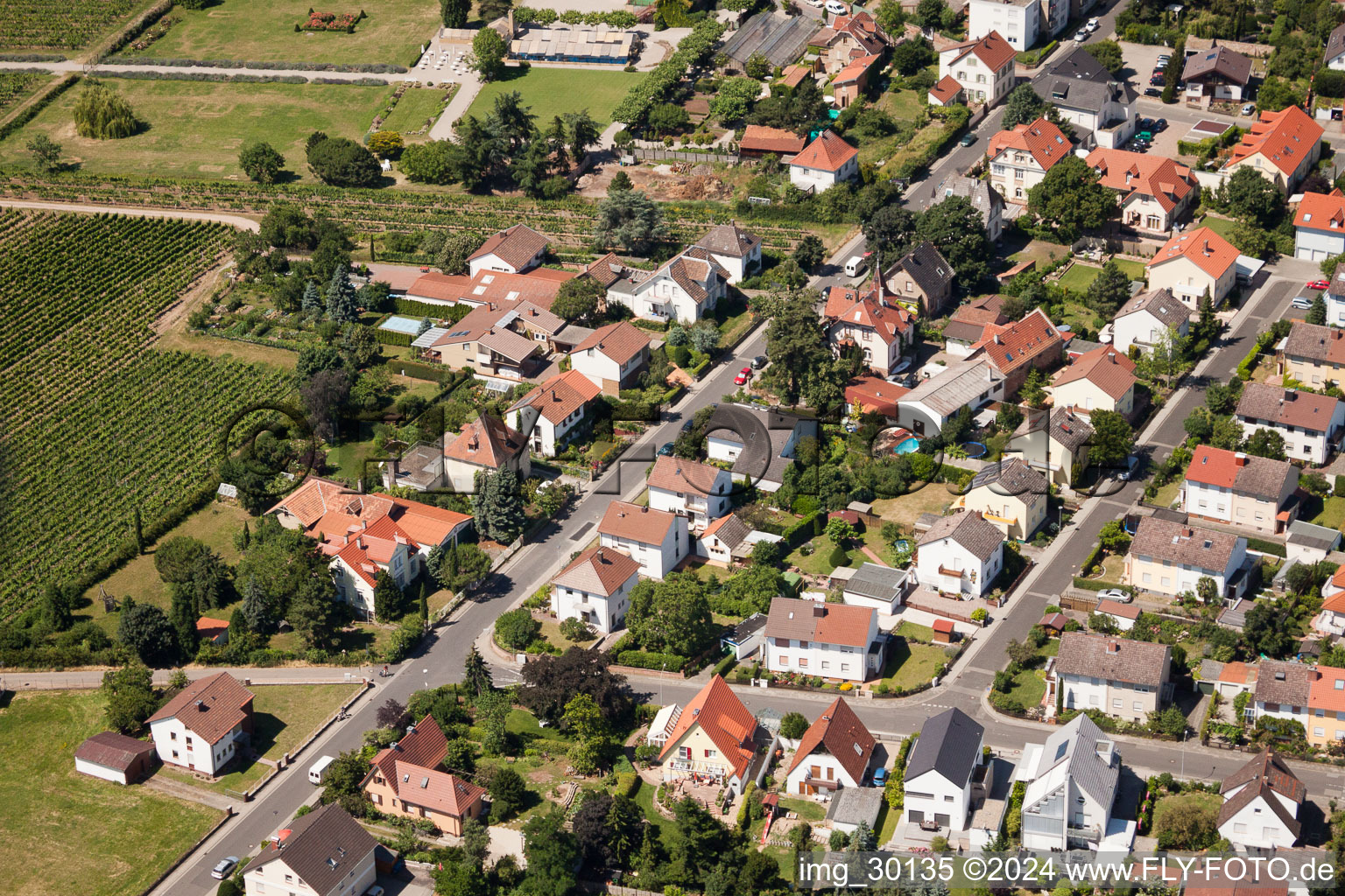 Wachenheim an der Weinstraße in the state Rhineland-Palatinate, Germany from a drone