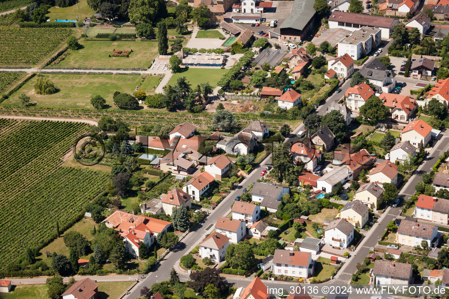 Wachenheim an der Weinstraße in the state Rhineland-Palatinate, Germany seen from a drone