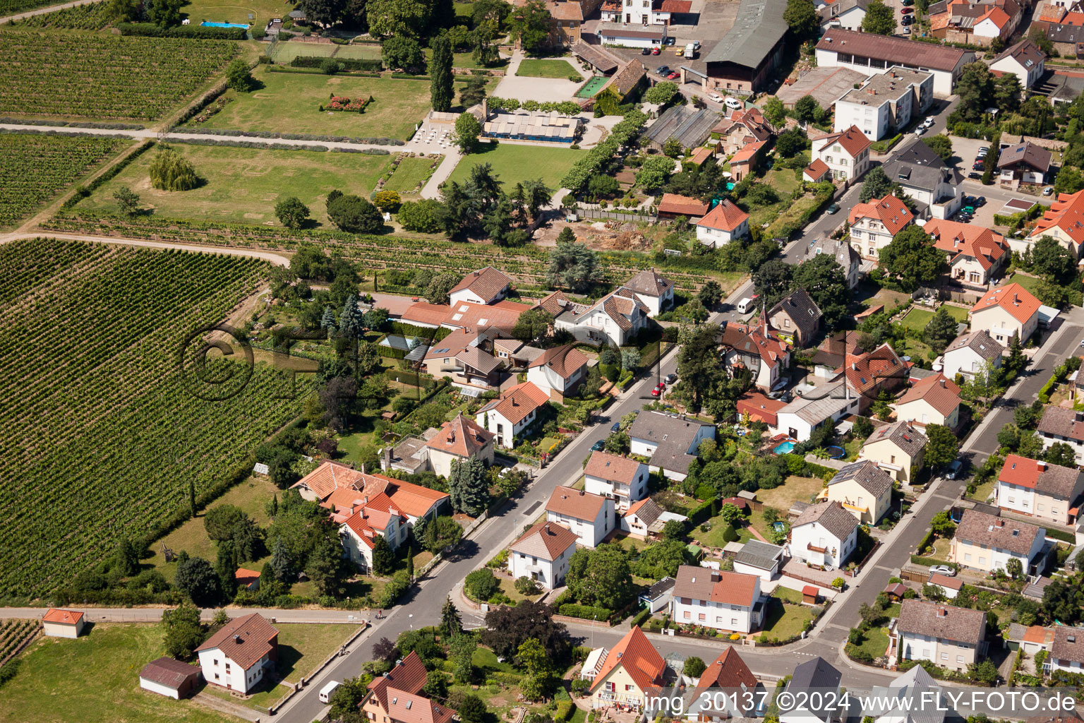 Aerial view of Wachenheim an der Weinstraße in the state Rhineland-Palatinate, Germany