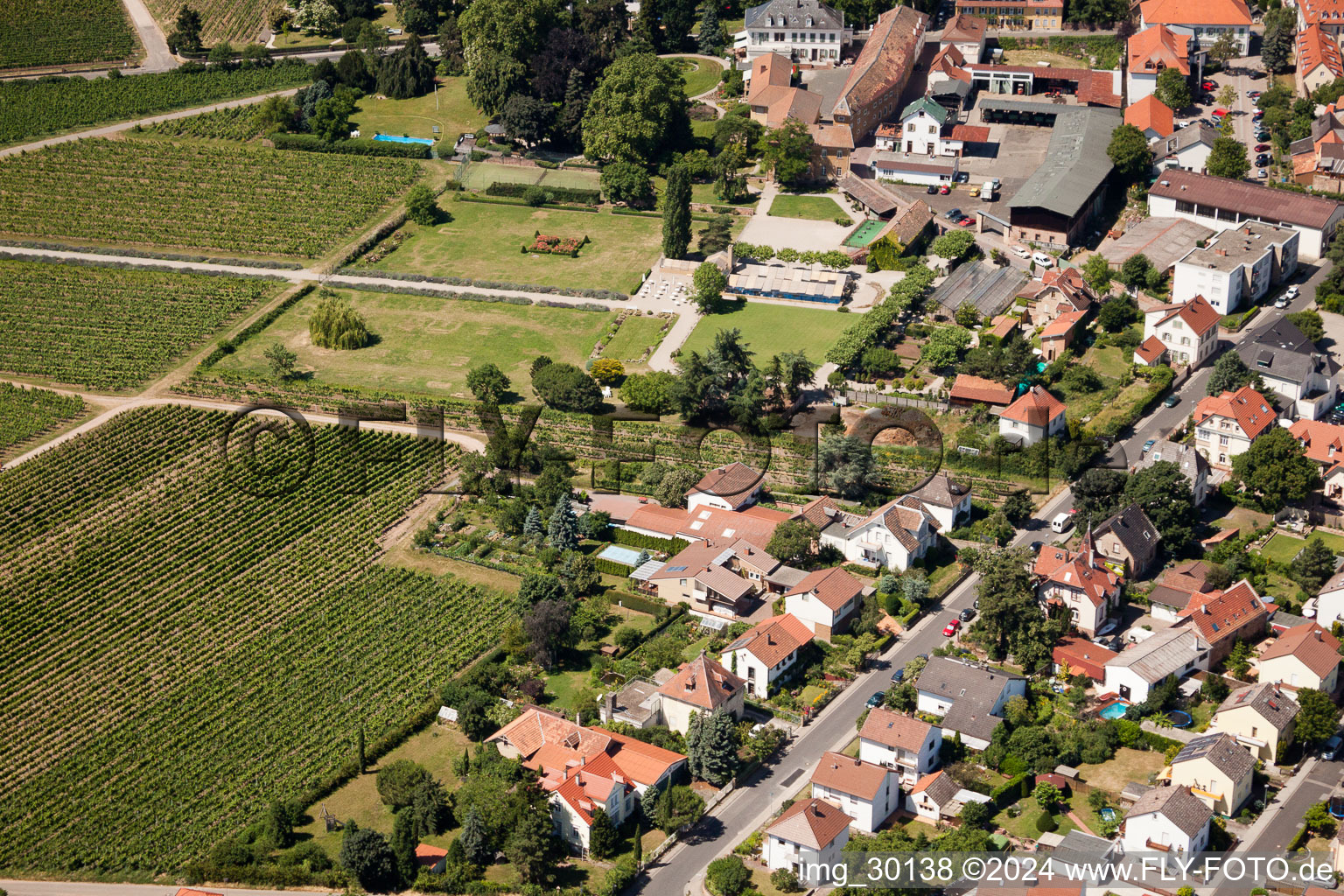 Wachenheim an der Weinstraße in the state Rhineland-Palatinate, Germany seen from above