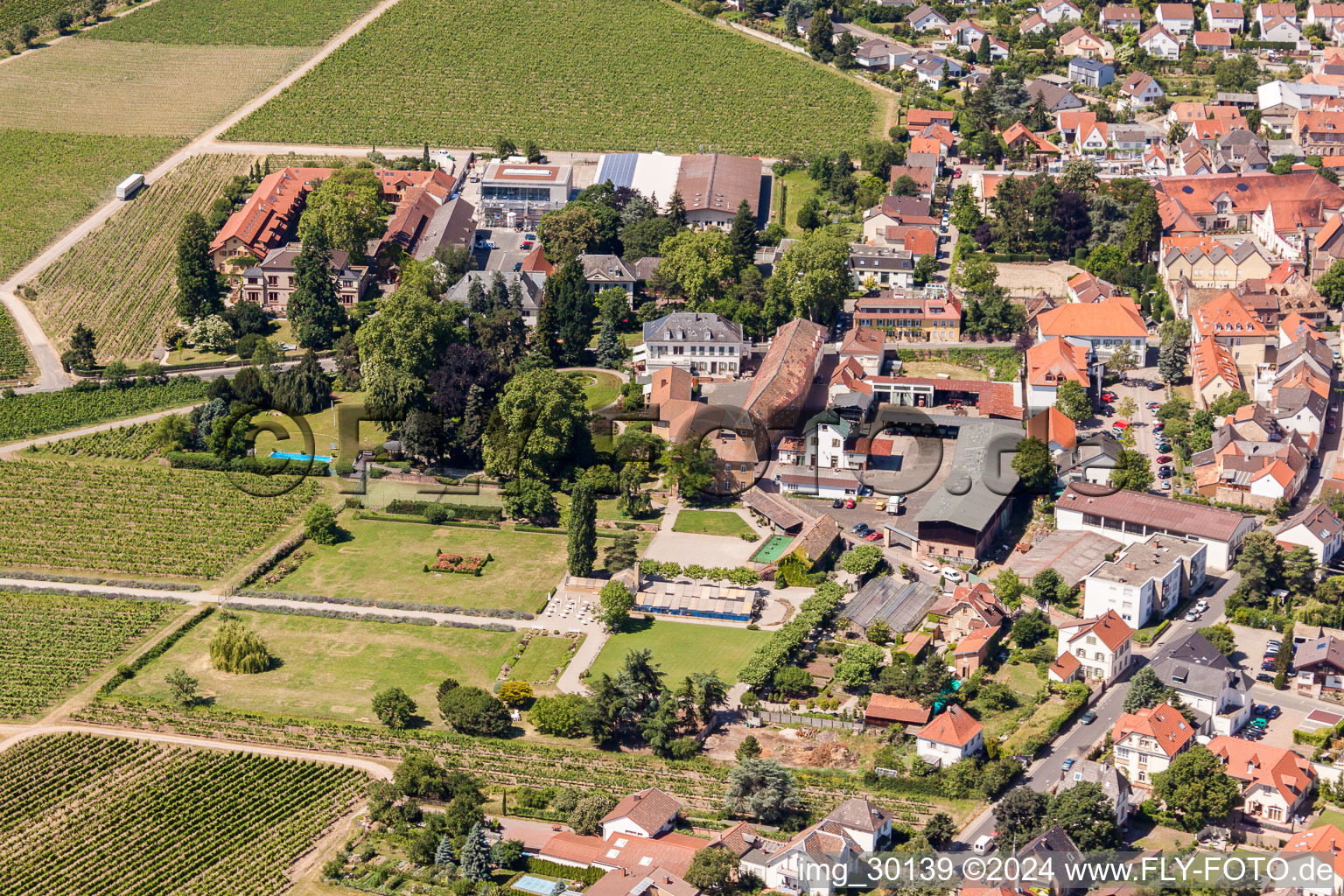 Buildings and parks at the mansion of the wine cellar Weingut Dr. Buerklin-Wolf in Wachenheim an der Weinstrasse in the state Rhineland-Palatinate, Germany