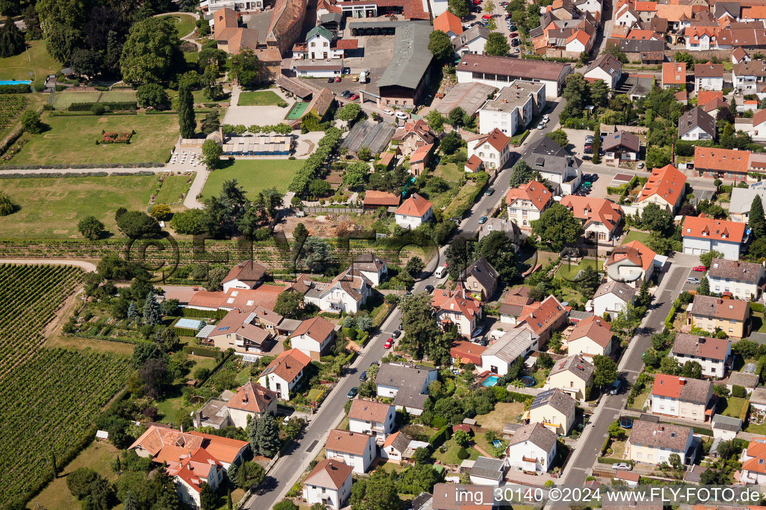 Oblique view of Wachenheim an der Weinstraße in the state Rhineland-Palatinate, Germany