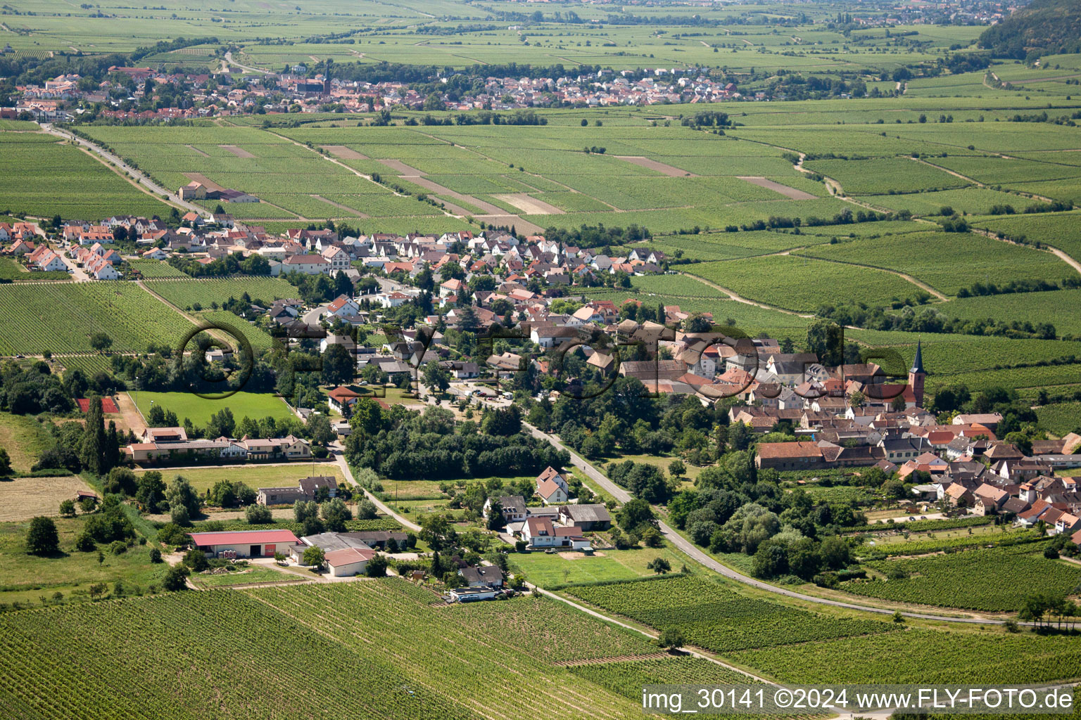 Bird's eye view of Forst an der Weinstraße in the state Rhineland-Palatinate, Germany