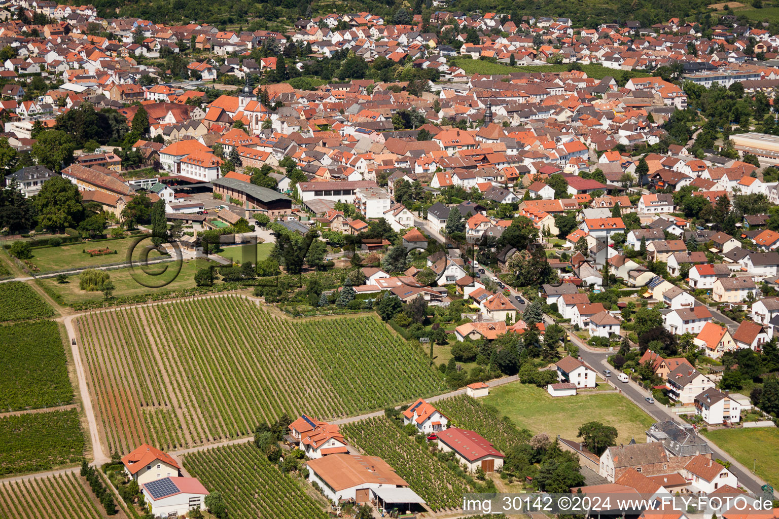 Wachenheim an der Weinstraße in the state Rhineland-Palatinate, Germany from above