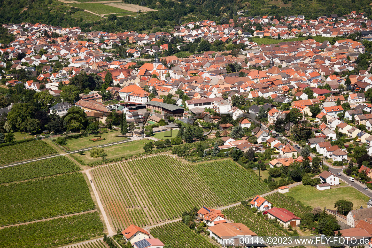 Wachenheim an der Weinstraße in the state Rhineland-Palatinate, Germany viewn from the air