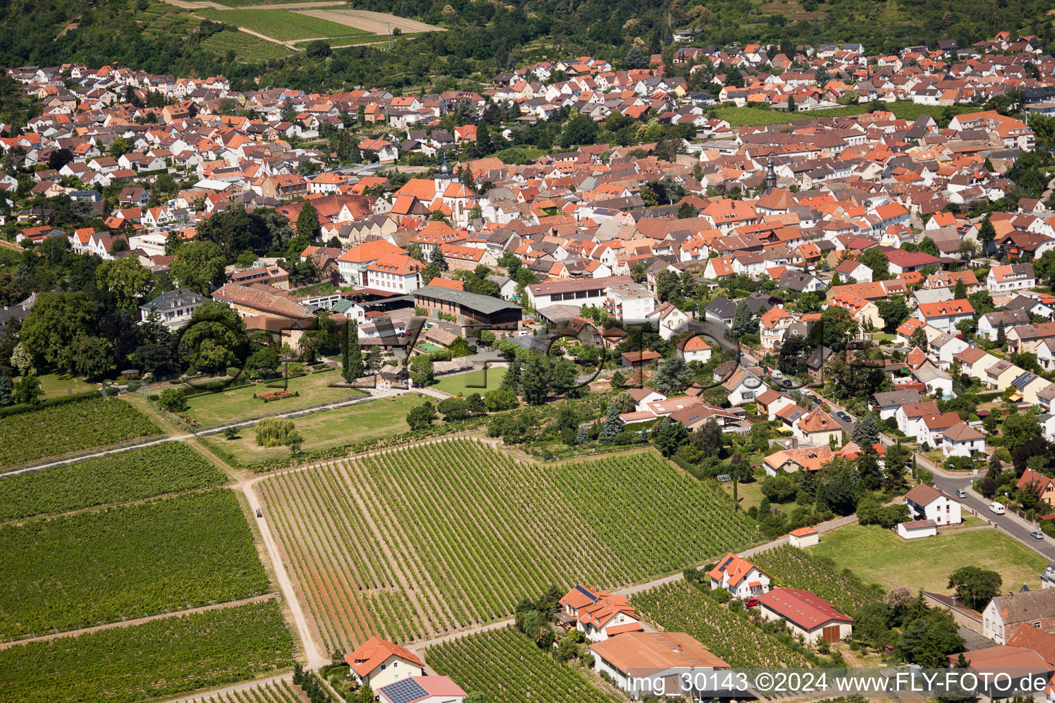 Wachenheim an der Weinstraße in the state Rhineland-Palatinate, Germany out of the air