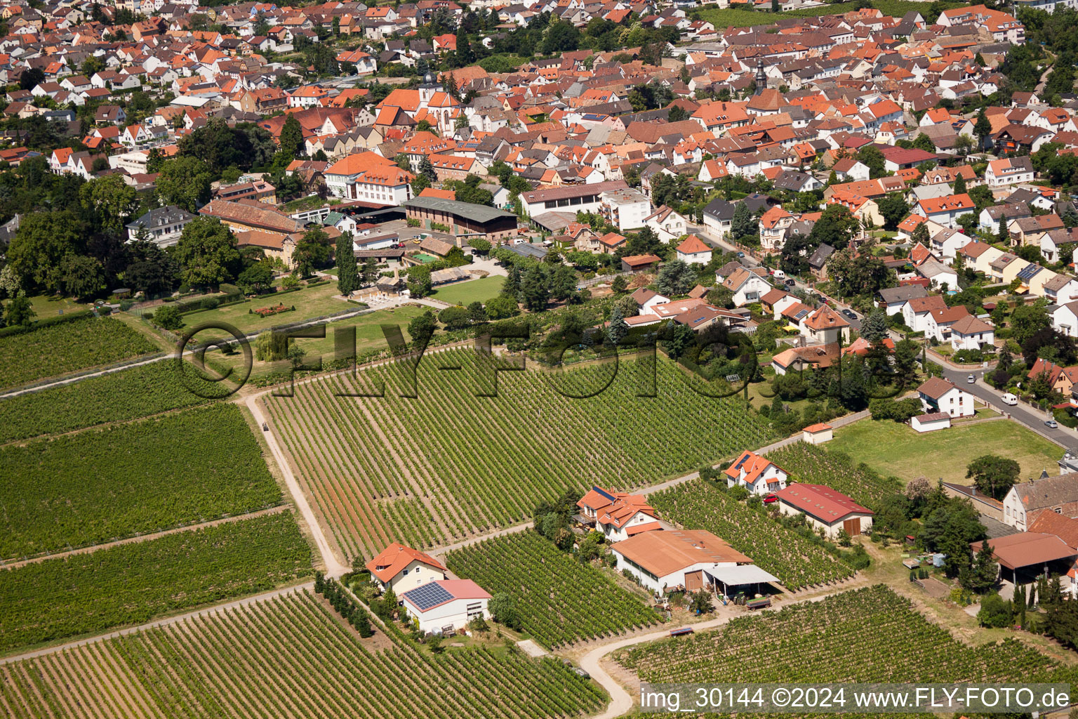 Wachenheim an der Weinstraße in the state Rhineland-Palatinate, Germany seen from above