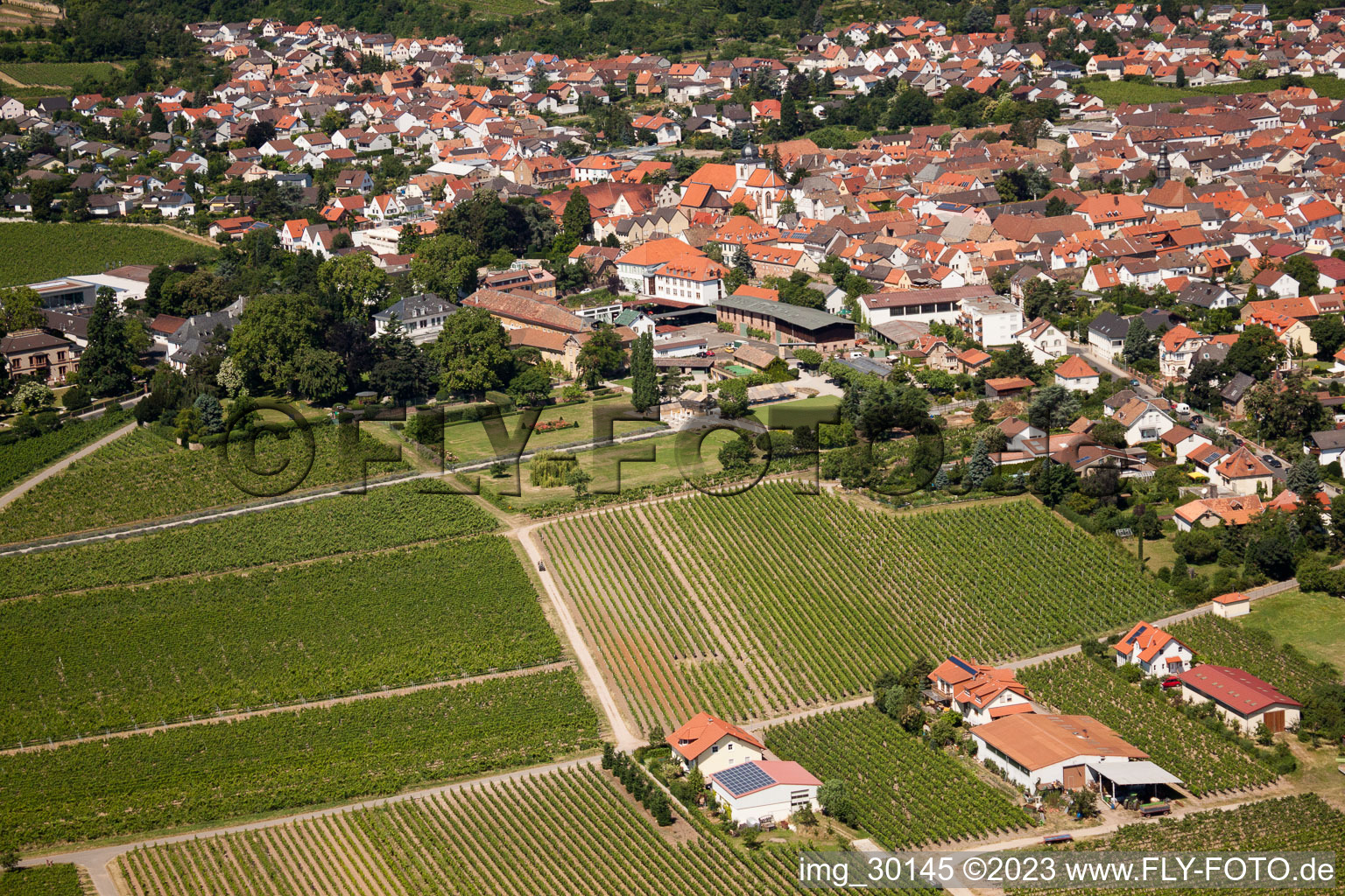 Drone image of Wachenheim an der Weinstraße in the state Rhineland-Palatinate, Germany