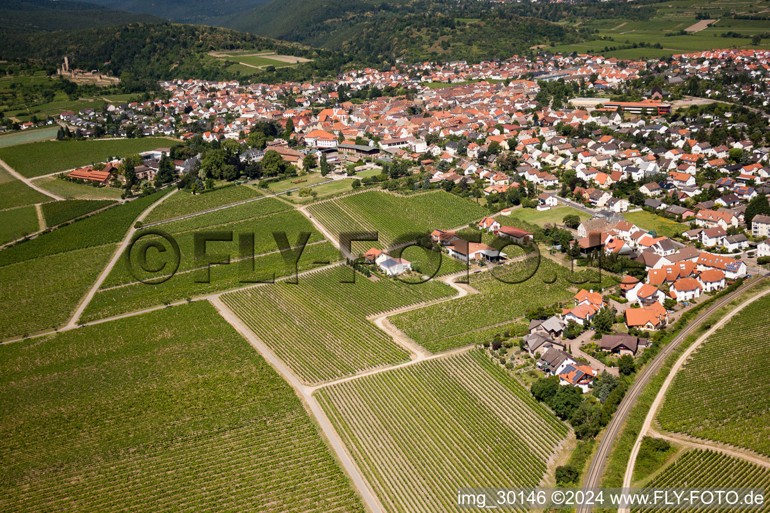 Bird's eye view of Wachenheim an der Weinstraße in the state Rhineland-Palatinate, Germany