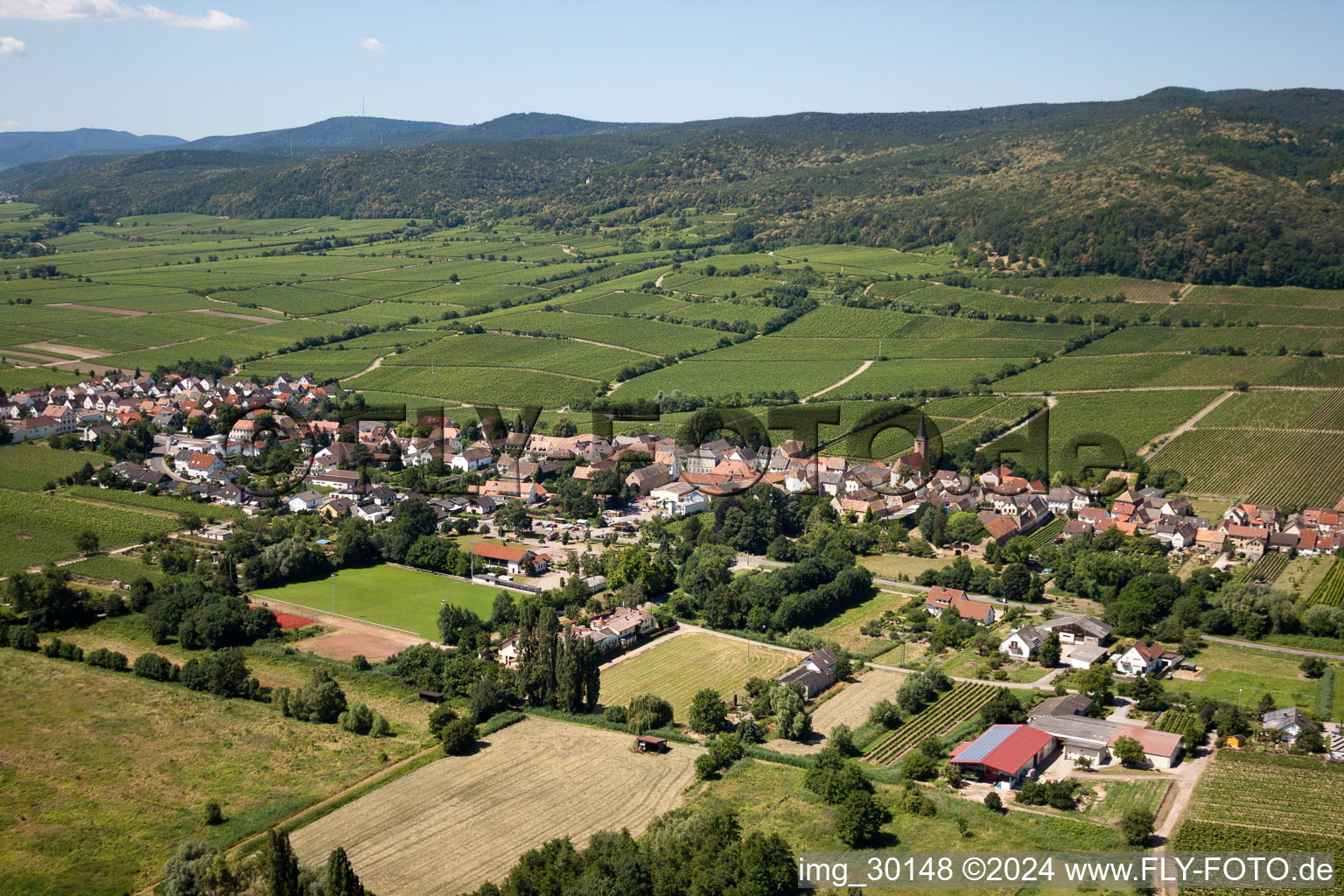 Forst an der Weinstraße in the state Rhineland-Palatinate, Germany out of the air