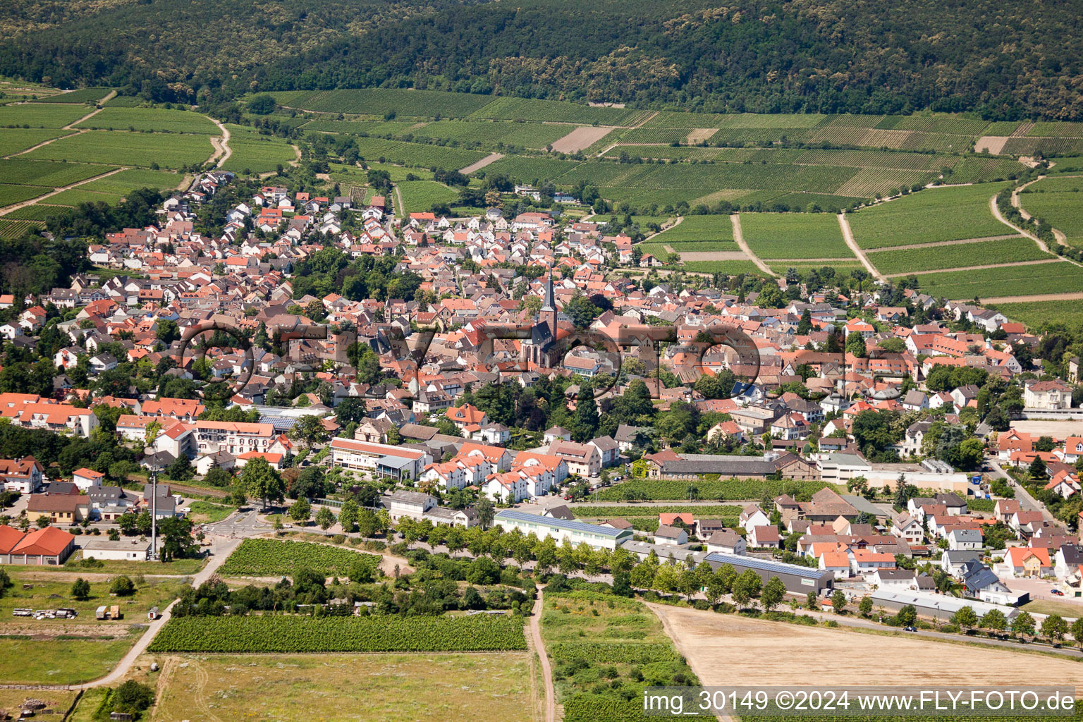 Deidesheim in the state Rhineland-Palatinate, Germany from the plane