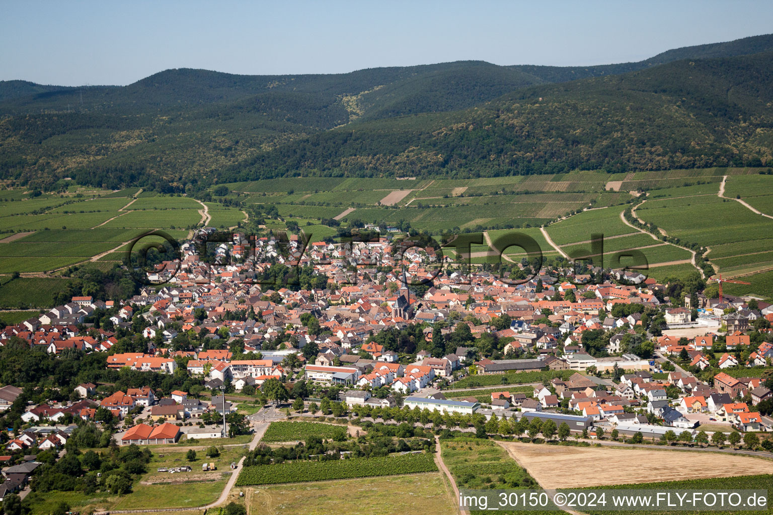 Town View of the streets and houses of the residential areas in Deidesheim in the state Rhineland-Palatinate