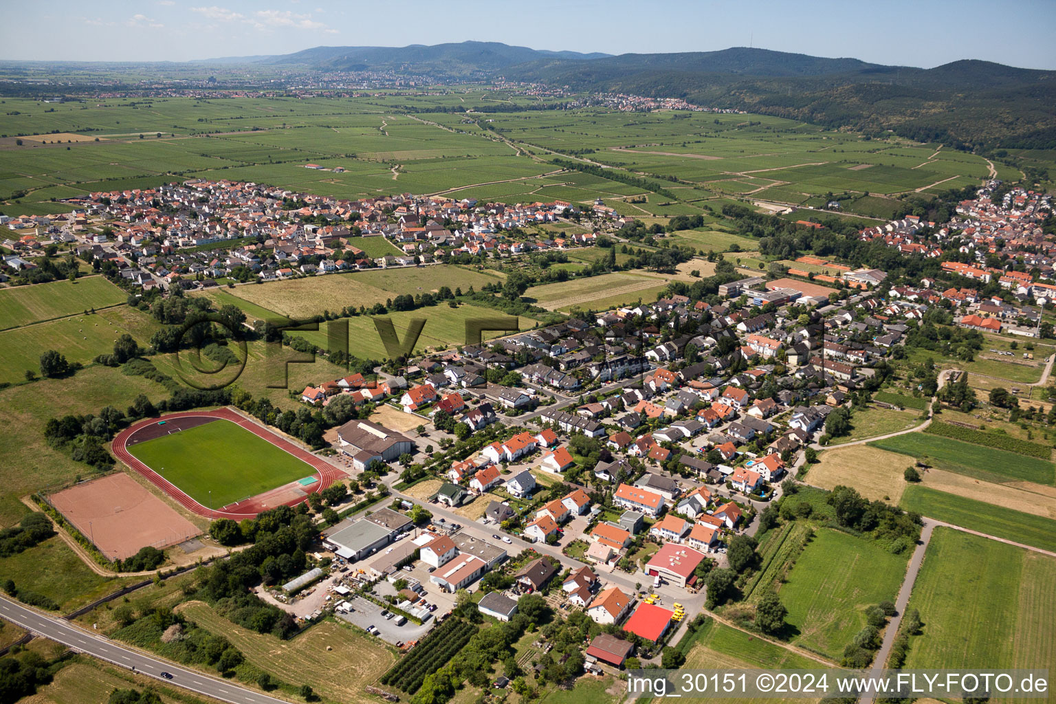 Bird's eye view of Deidesheim in the state Rhineland-Palatinate, Germany