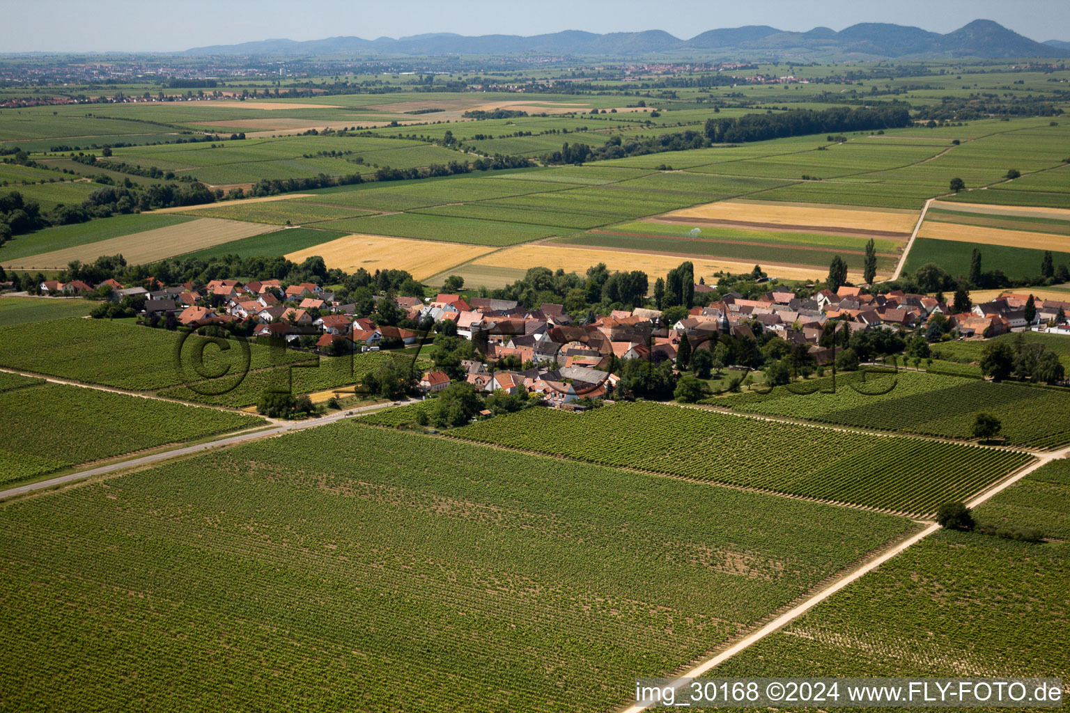 Kleinfischlingen in the state Rhineland-Palatinate, Germany seen from a drone