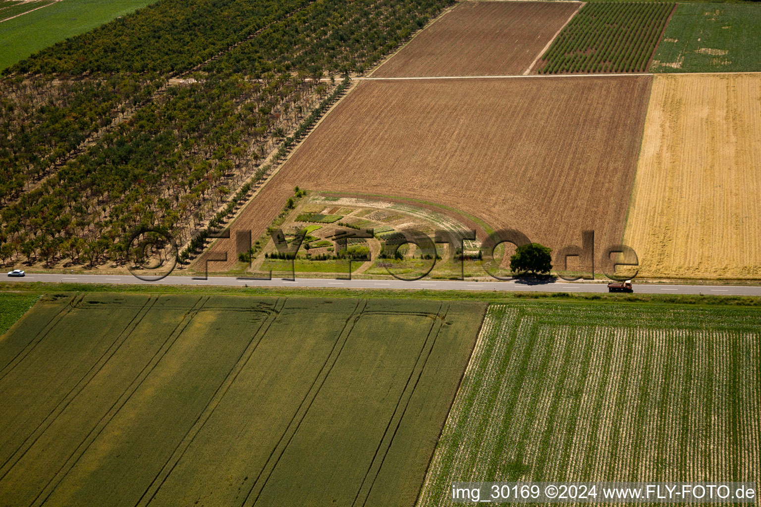 Aerial view of Kleinfischlingen in the state Rhineland-Palatinate, Germany