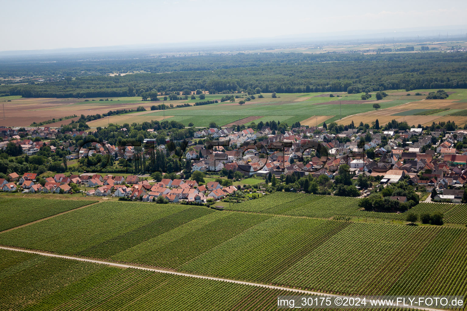 Oblique view of District Niederhochstadt in Hochstadt in the state Rhineland-Palatinate, Germany