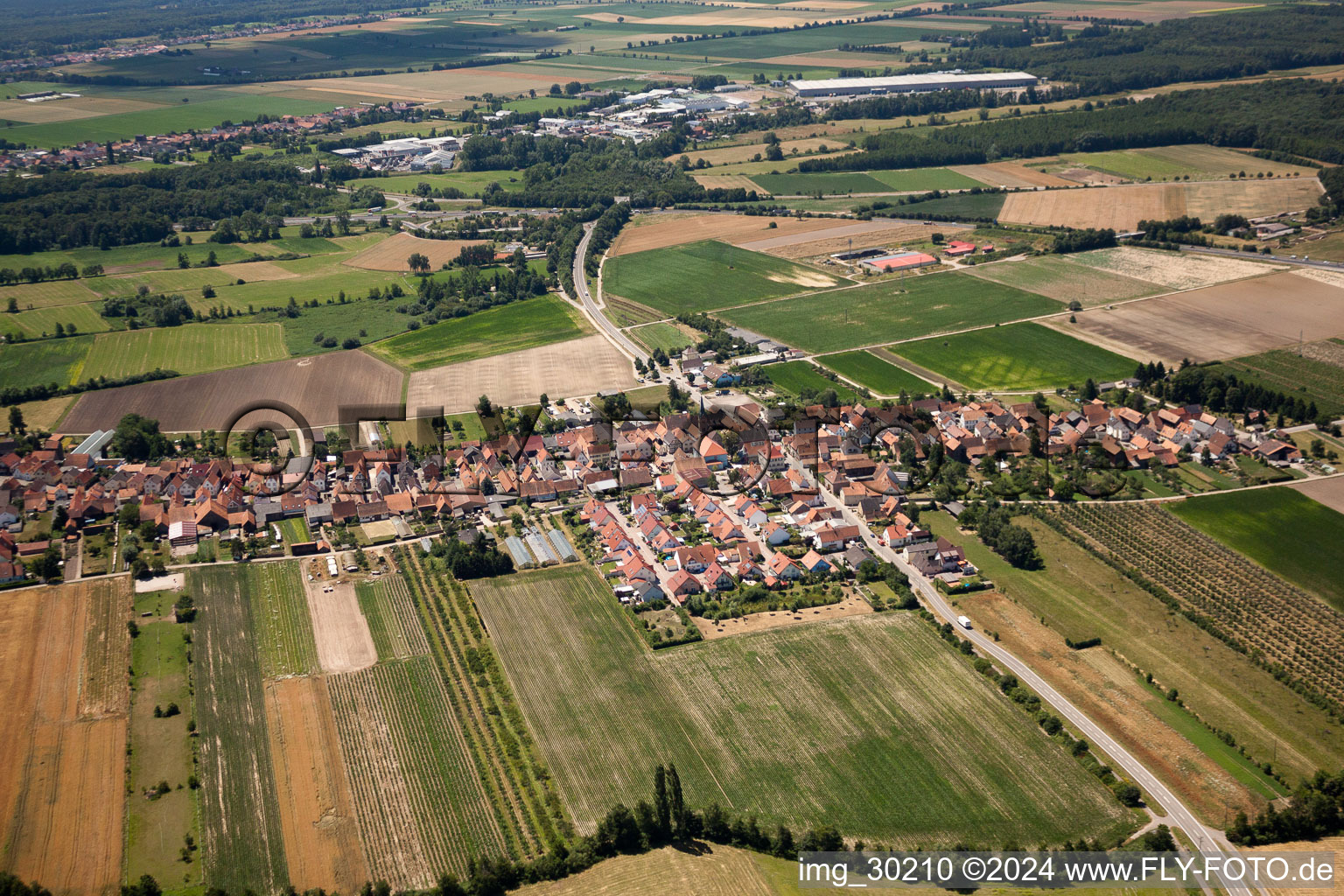 Oblique view of From the north in Erlenbach bei Kandel in the state Rhineland-Palatinate, Germany