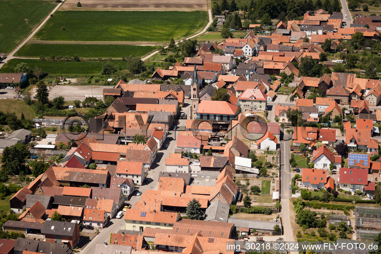 Erlenbach bei Kandel in the state Rhineland-Palatinate, Germany from the drone perspective