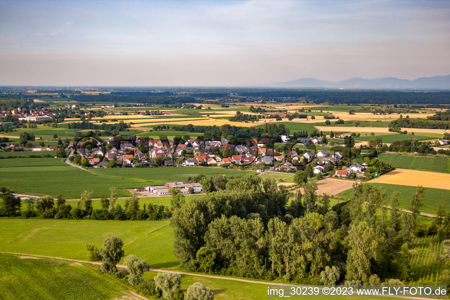 From the southwest in the district Querbach in Kehl in the state Baden-Wuerttemberg, Germany