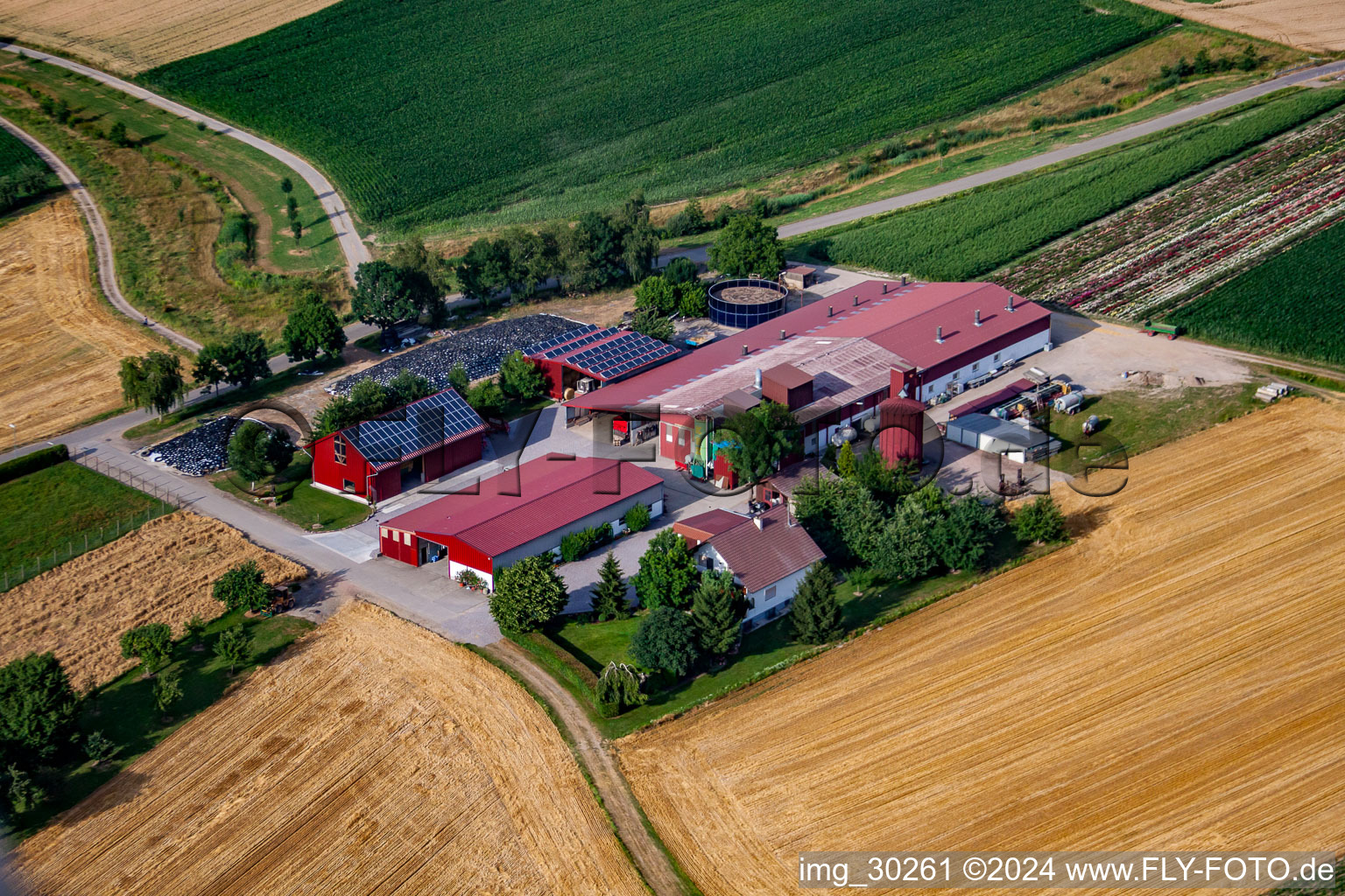 Aerial view of Hansjörg Körkel & Cornelia Will-Körkel Kirschhof in the district Bodersweier in Kehl in the state Baden-Wuerttemberg, Germany