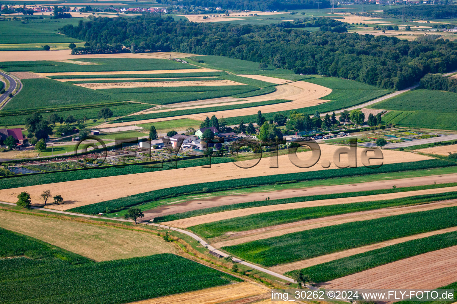 Garden Times Black in the district Bodersweier in Kehl in the state Baden-Wuerttemberg, Germany from the drone perspective