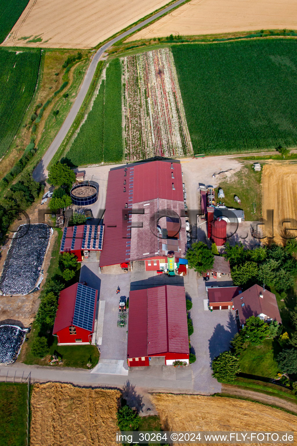 Oblique view of Hansjörg Körkel & Cornelia Will-Körkel Kirschhof in the district Bodersweier in Kehl in the state Baden-Wuerttemberg, Germany