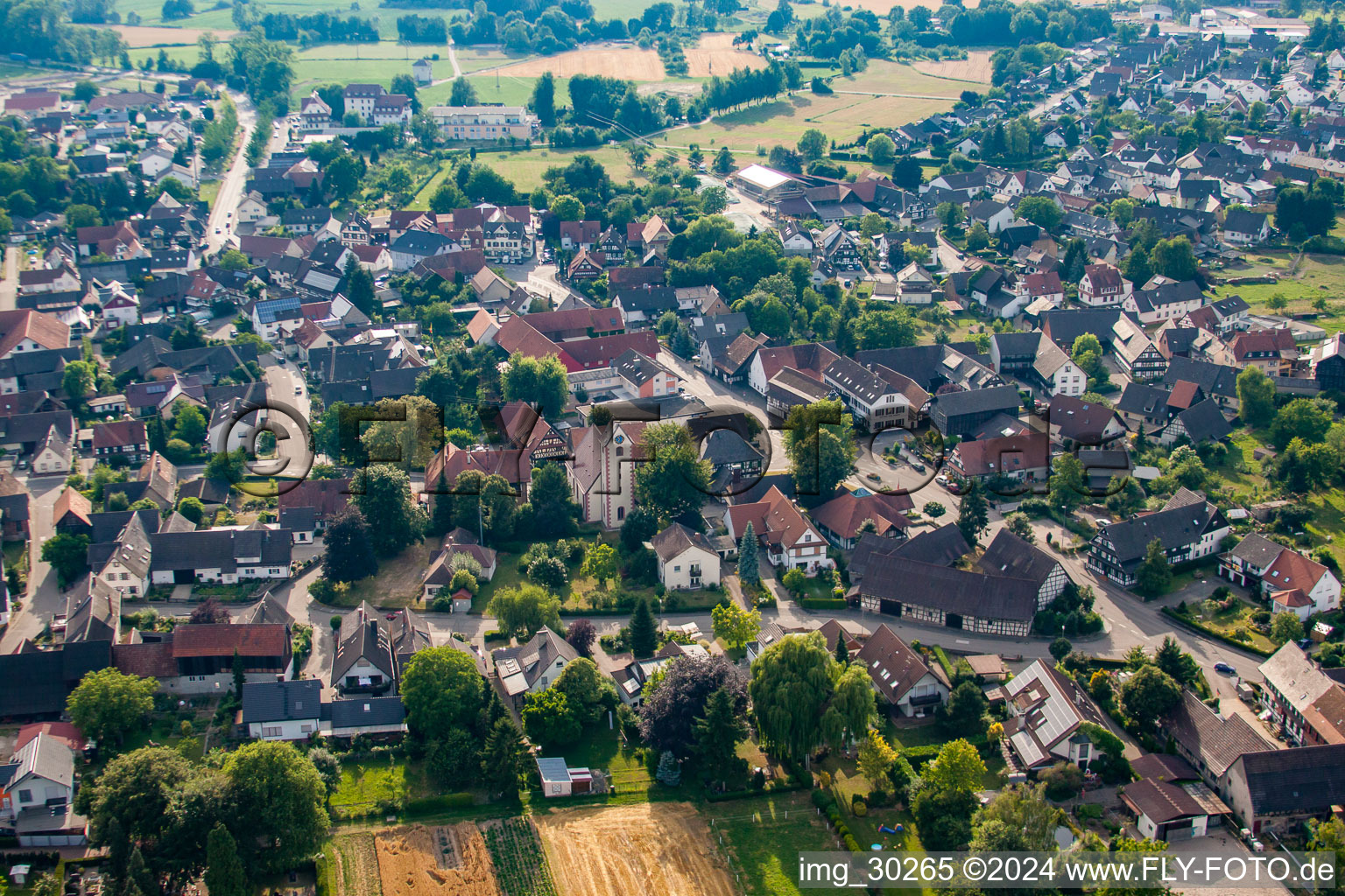 Aerial view of Village view in the district Bodersweier in Kehl in the state Baden-Wuerttemberg, Germany