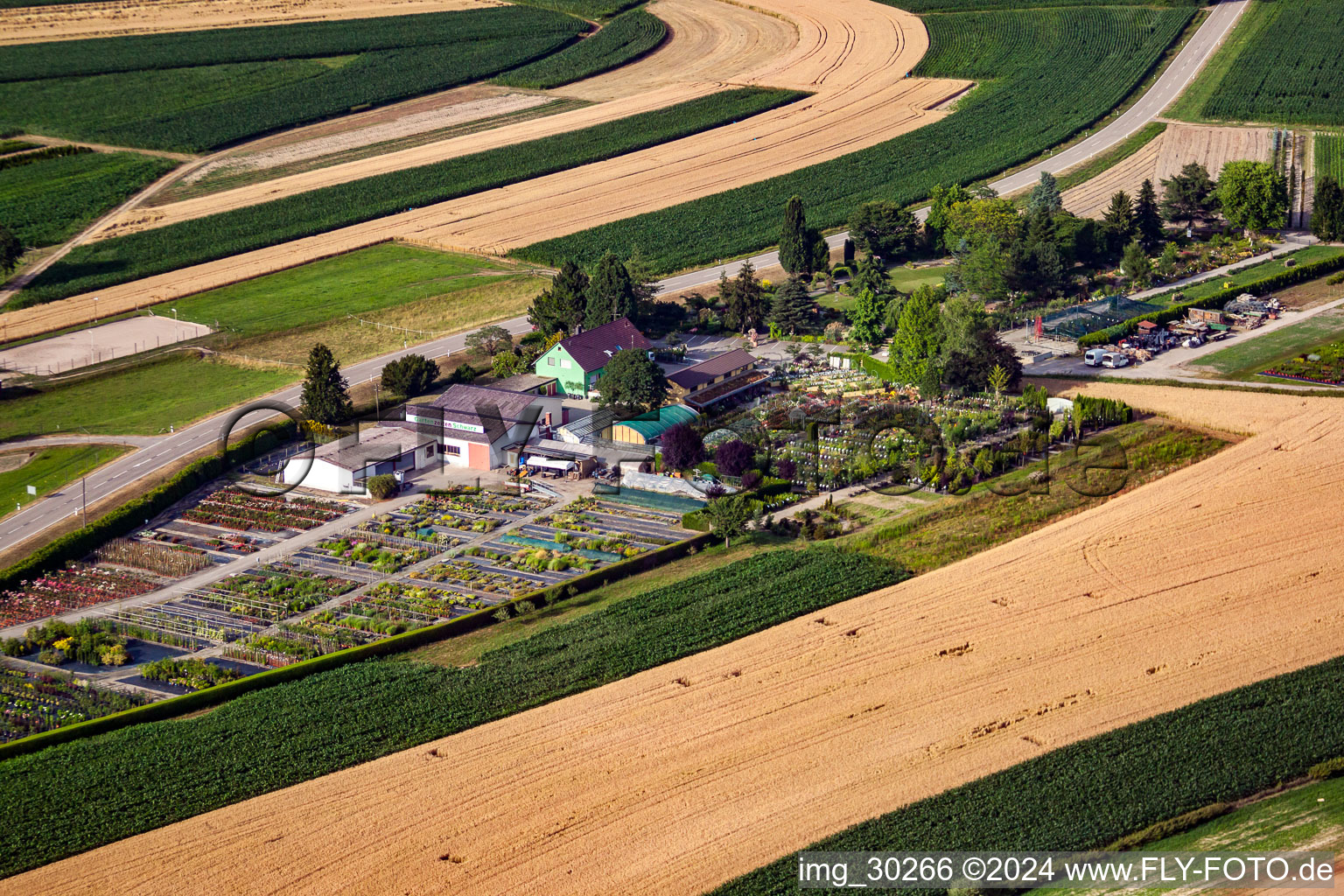 Garden Times Black in the district Bodersweier in Kehl in the state Baden-Wuerttemberg, Germany from a drone