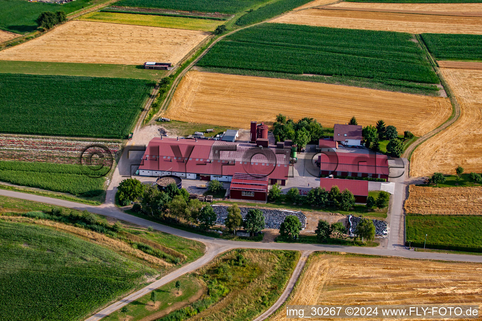 Hansjörg Körkel & Cornelia Will-Körkel Kirschhof in the district Bodersweier in Kehl in the state Baden-Wuerttemberg, Germany from above