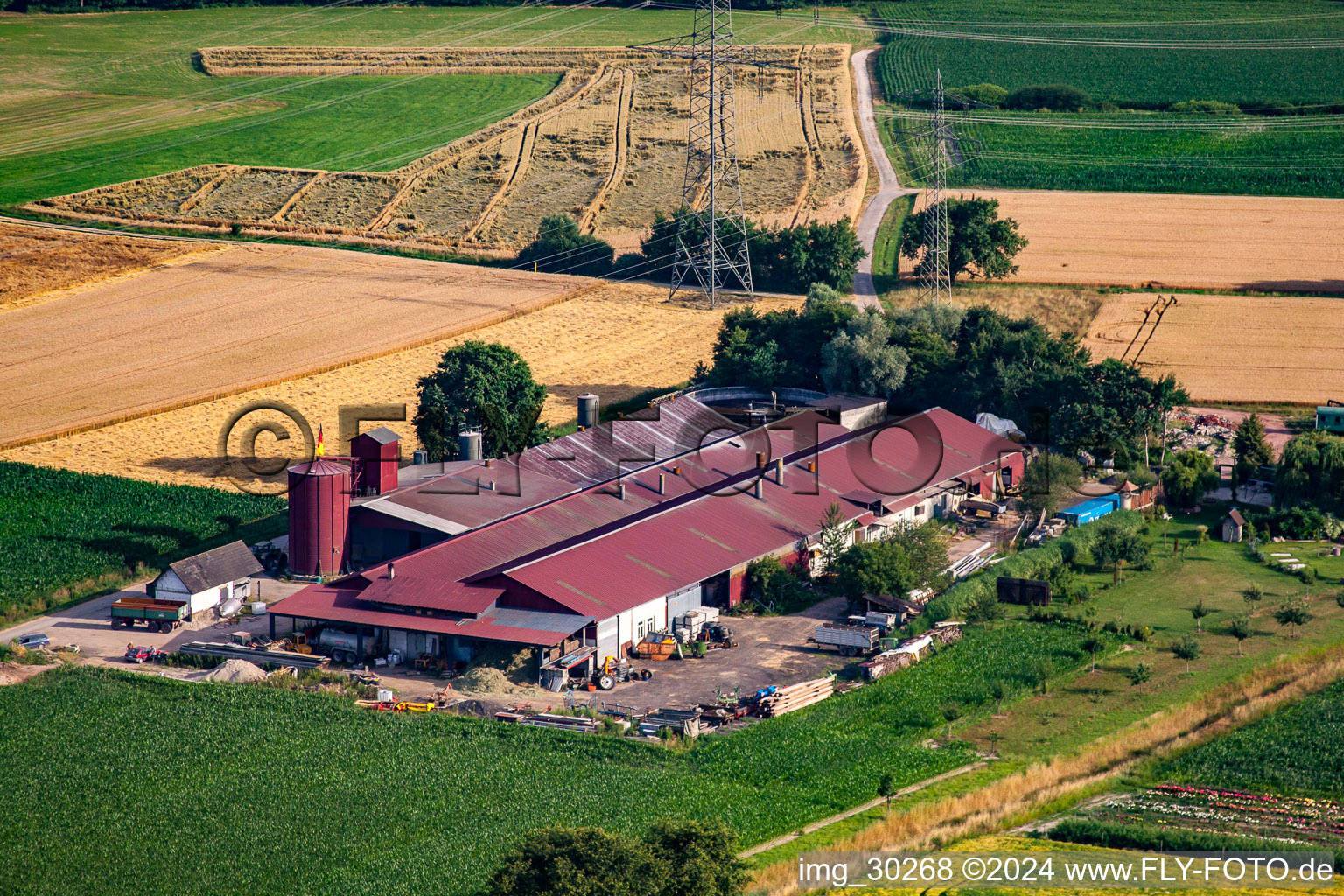 Hansjörg Körkel & Cornelia Will-Körkel Kirschhof in the district Bodersweier in Kehl in the state Baden-Wuerttemberg, Germany out of the air