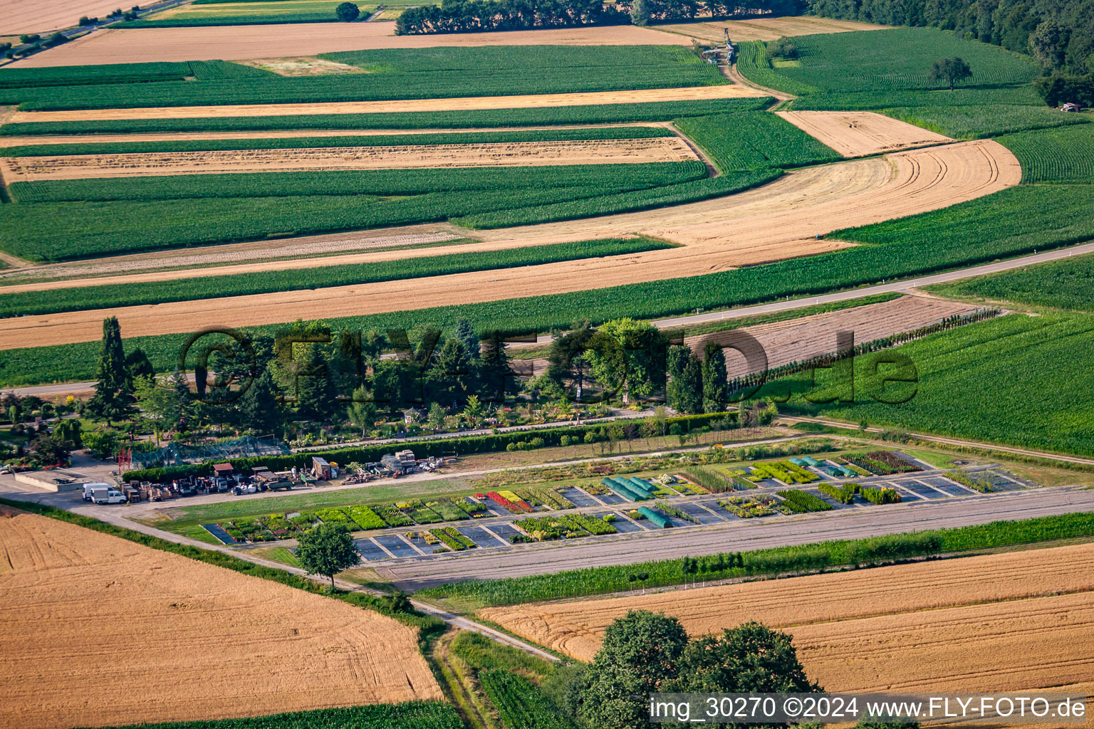 Garden Times Black in the district Bodersweier in Kehl in the state Baden-Wuerttemberg, Germany seen from a drone