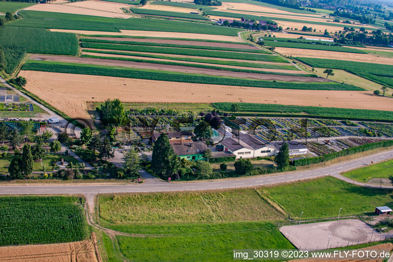 Garden Times Black in the district Bodersweier in Kehl in the state Baden-Wuerttemberg, Germany viewn from the air