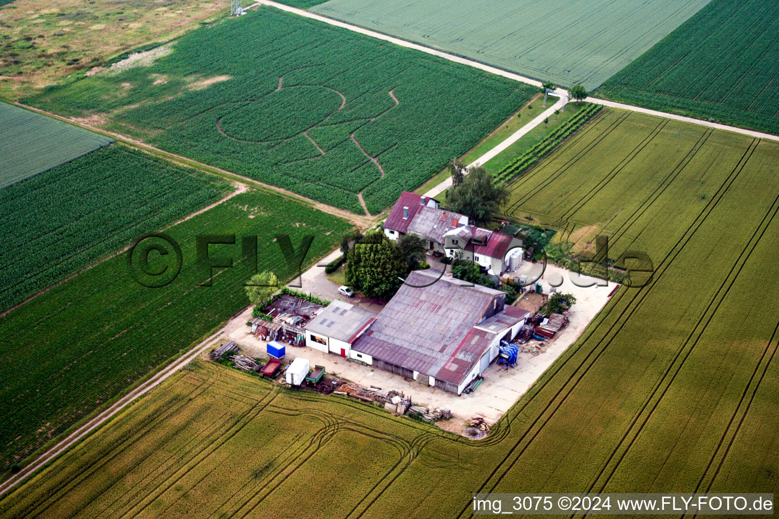 Aerial view of Wine and sparkling wine Rosenhof in Steinweiler in the state Rhineland-Palatinate, Germany