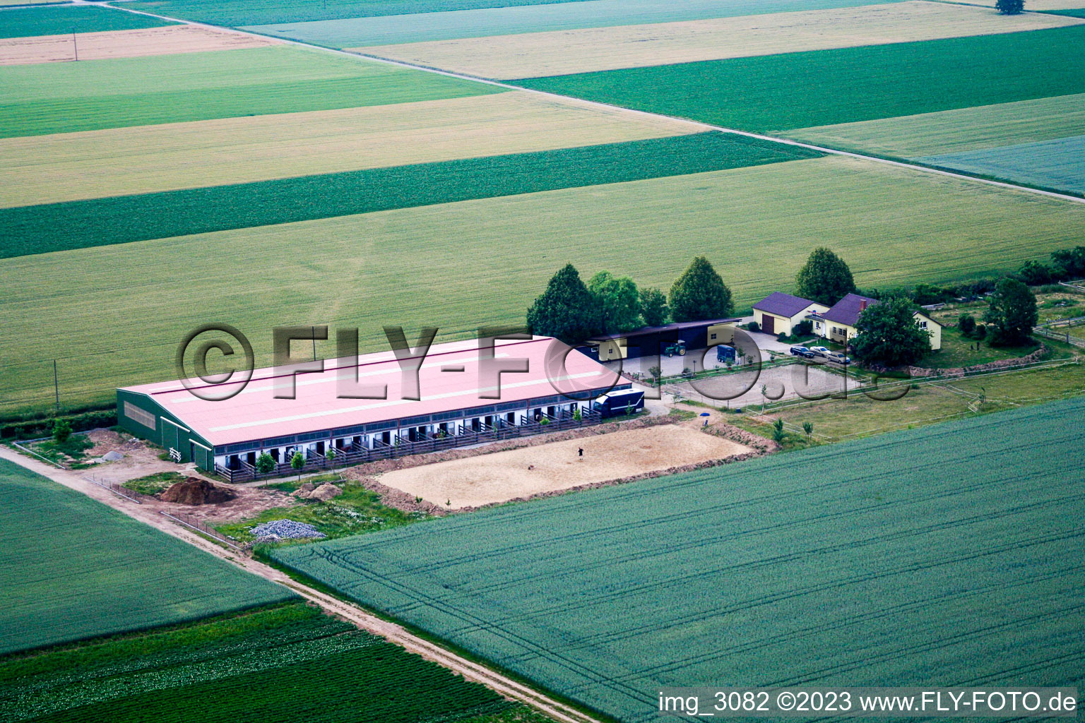 Horse farm in Steinweiler in the state Rhineland-Palatinate, Germany