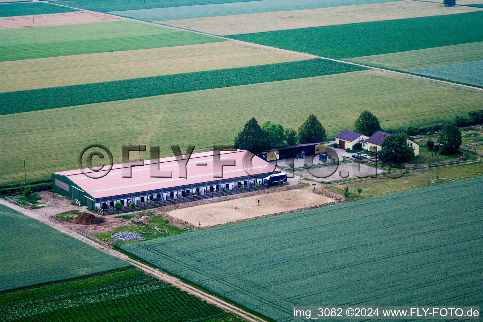 Horse farm in Steinweiler in the state Rhineland-Palatinate, Germany