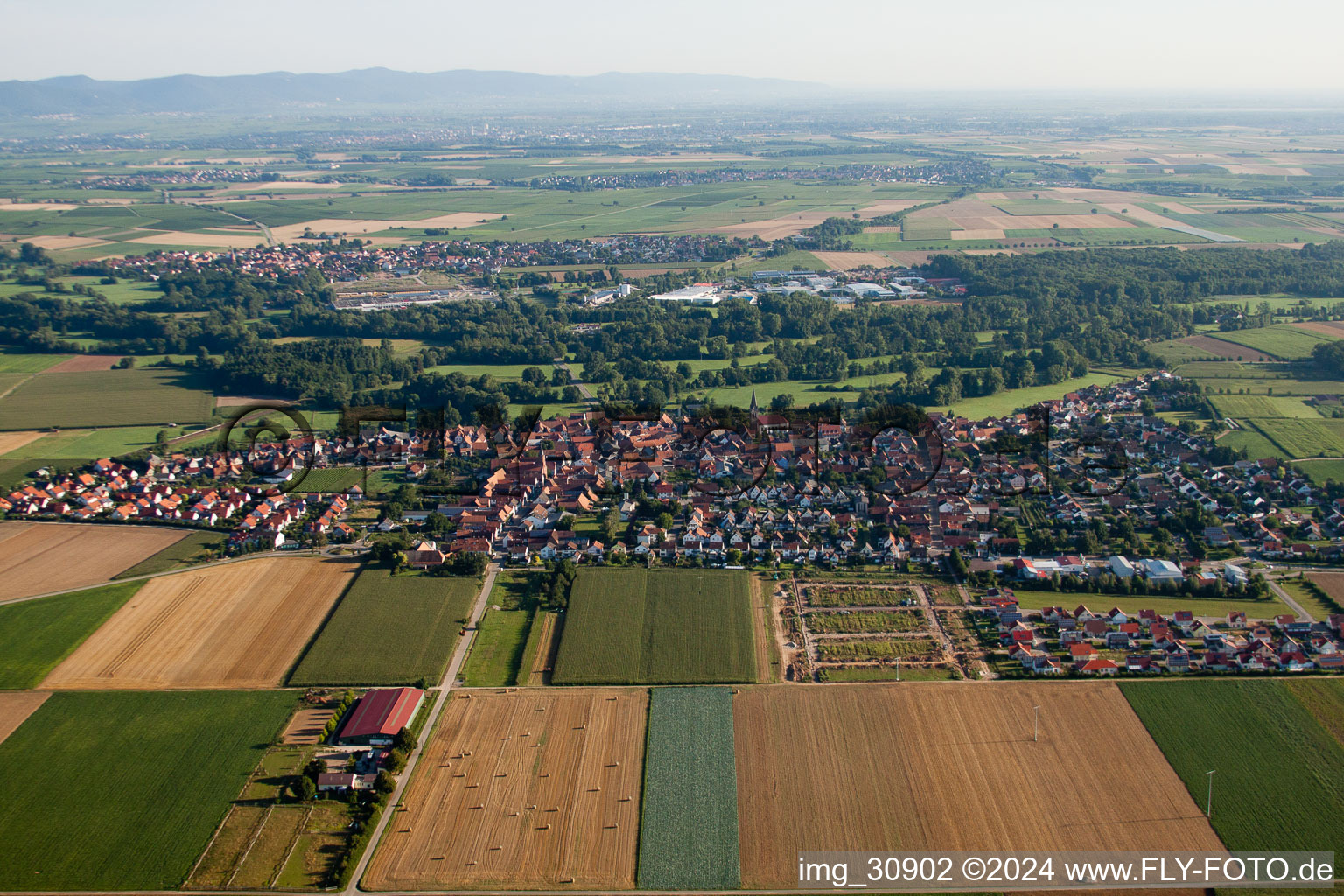 From the south in Steinweiler in the state Rhineland-Palatinate, Germany