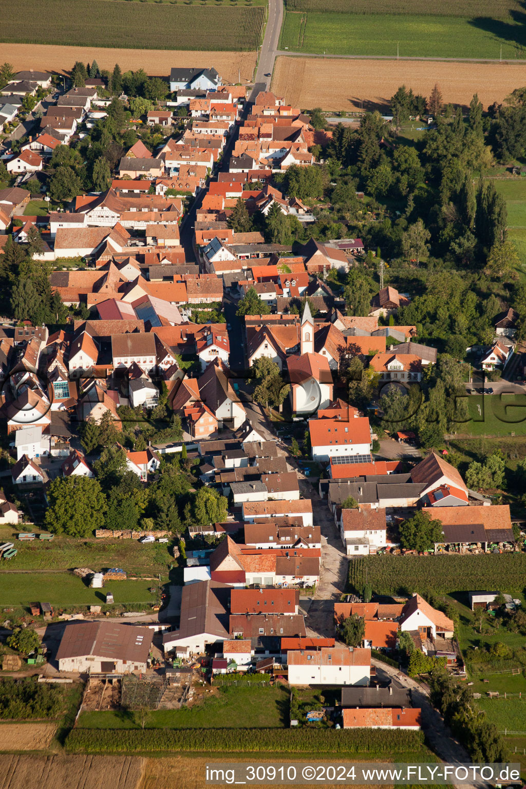 Oblique view of Town View of the streets and houses of the residential areas in the district Muehlhofen in Billigheim-Ingenheim in the state Rhineland-Palatinate