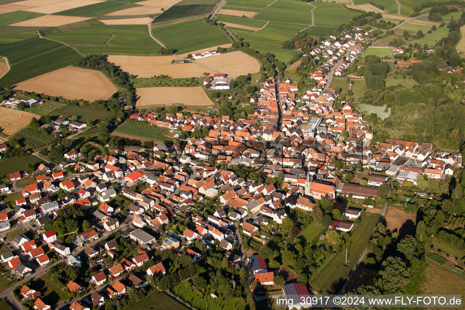 District Billigheim in Billigheim-Ingenheim in the state Rhineland-Palatinate, Germany from the plane