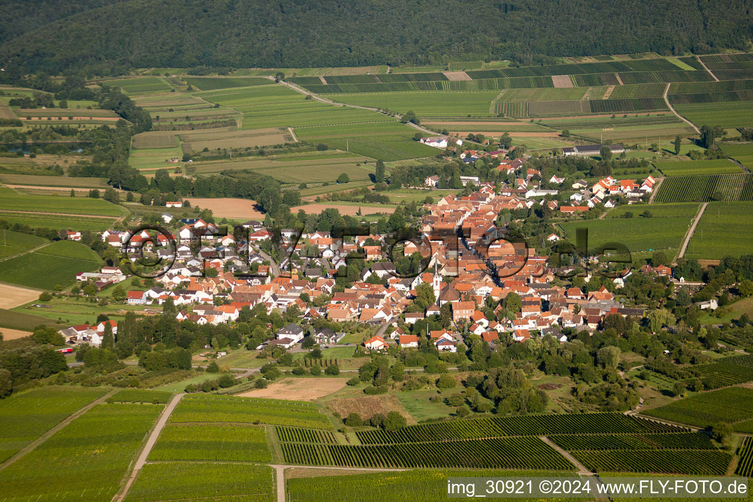 Göcklingen in the state Rhineland-Palatinate, Germany viewn from the air