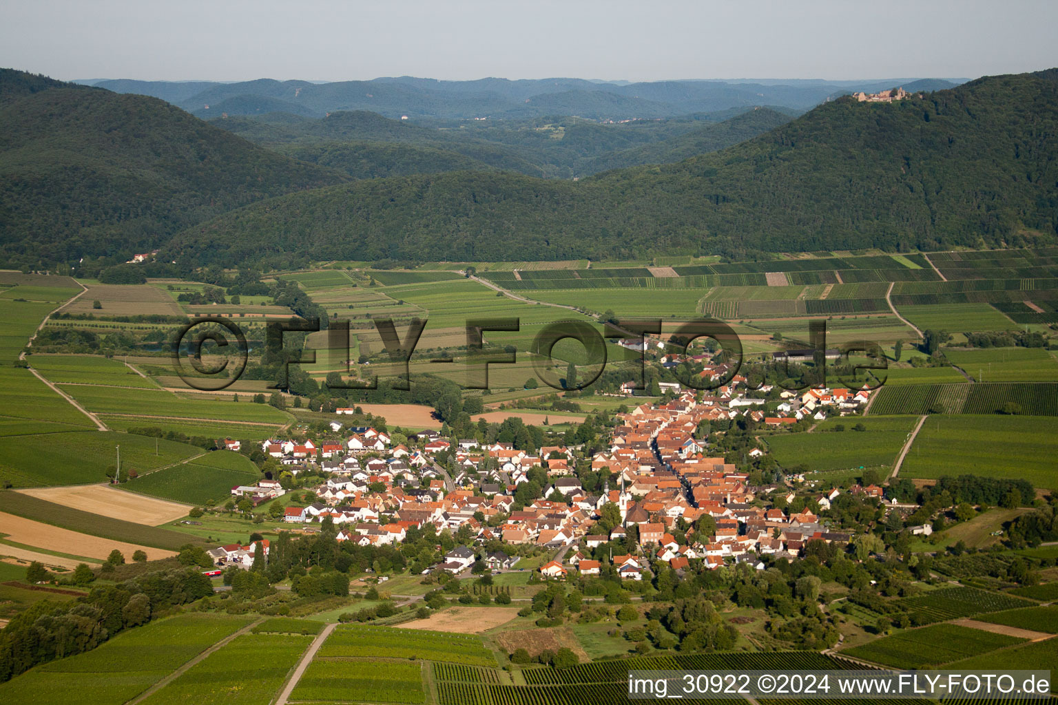 Drone recording of Göcklingen in the state Rhineland-Palatinate, Germany