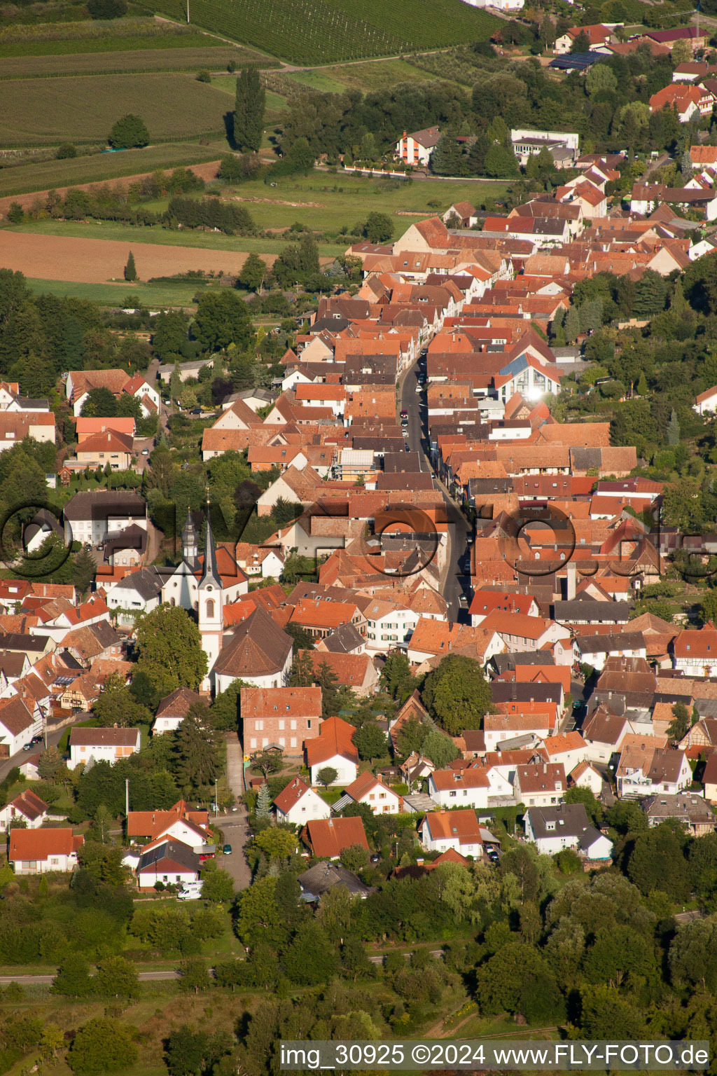 Göcklingen in the state Rhineland-Palatinate, Germany from a drone